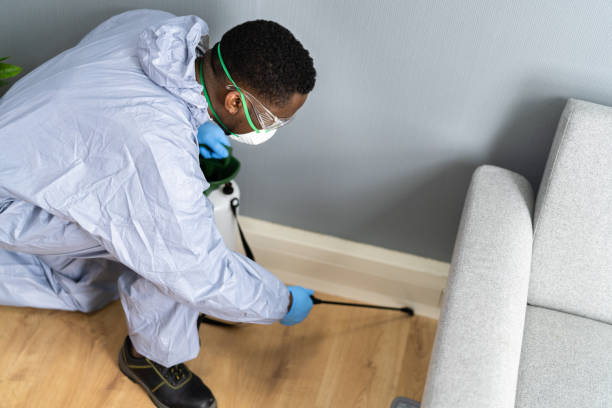 Best Residential Pest Control  in Coral Springs, FL